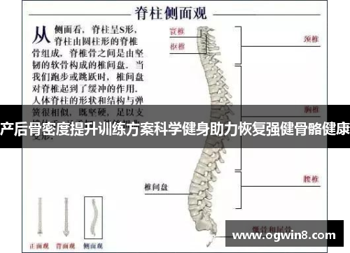 产后骨密度提升训练方案科学健身助力恢复强健骨骼健康